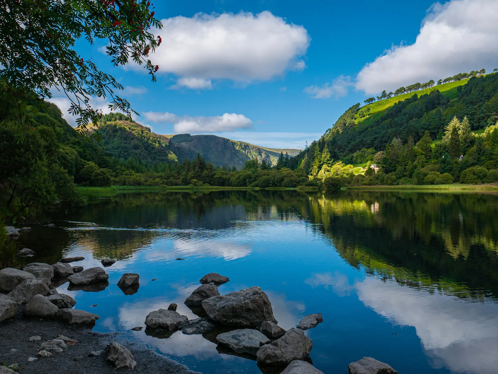 Glendalough lake and valley landscape on a private tour from Dublin