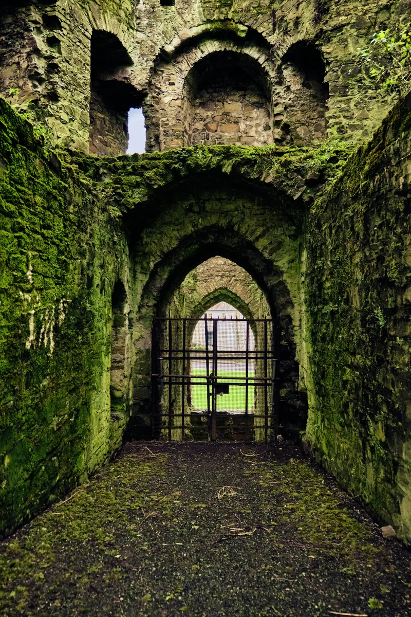Medieval stone arches at Trim Castle on a Boyne Valley private tour from Dublin